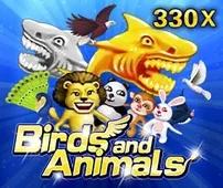 Colorful Birds and Animals game online arcade