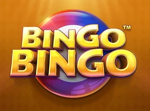 Bingo Bingo Game with exciting patterns