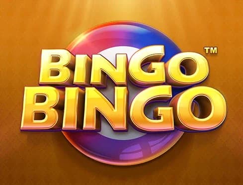 Play Bingo Bingo online anytime, anywhere